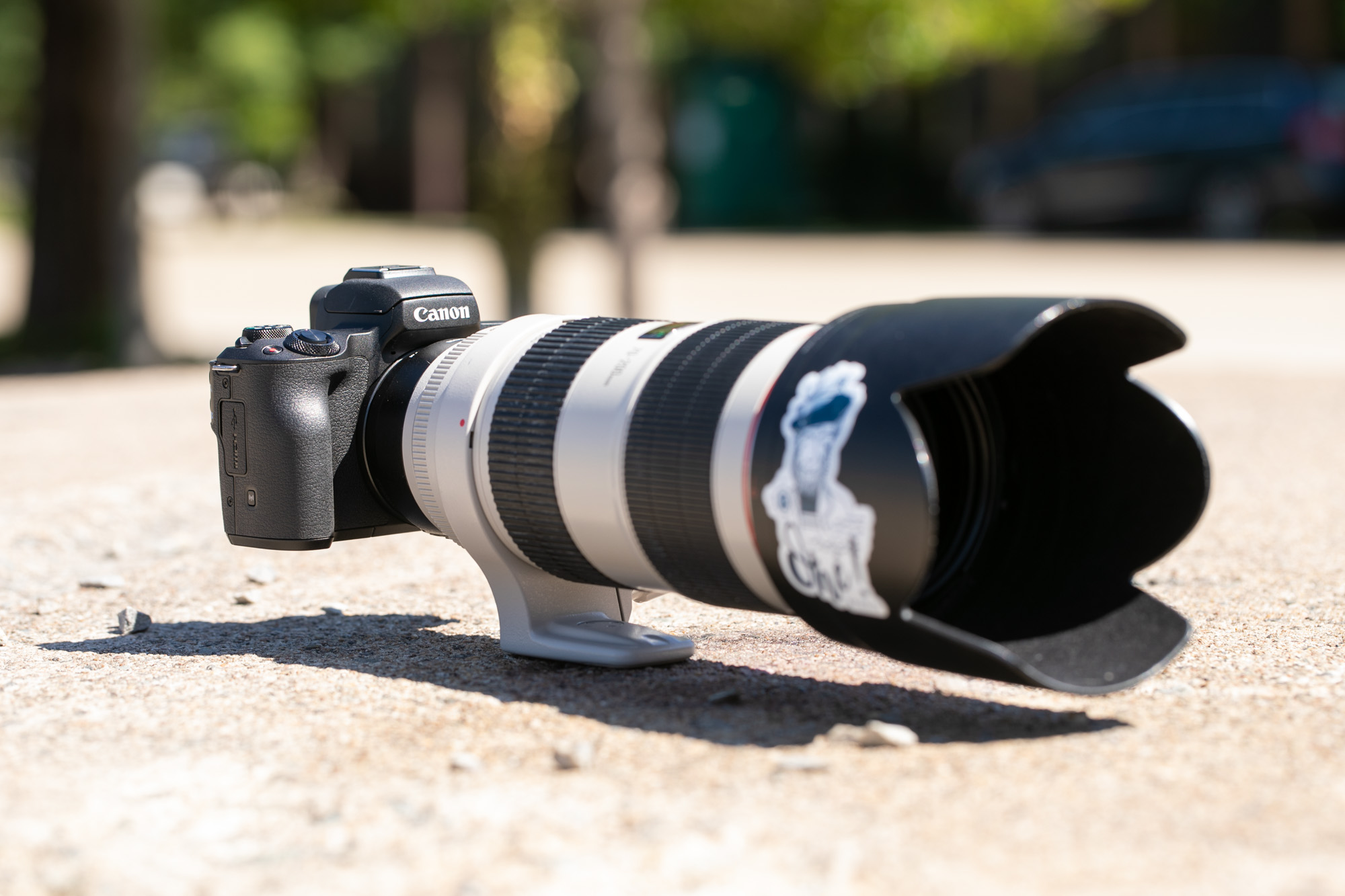Test Canon Eos M50 William Jezequel